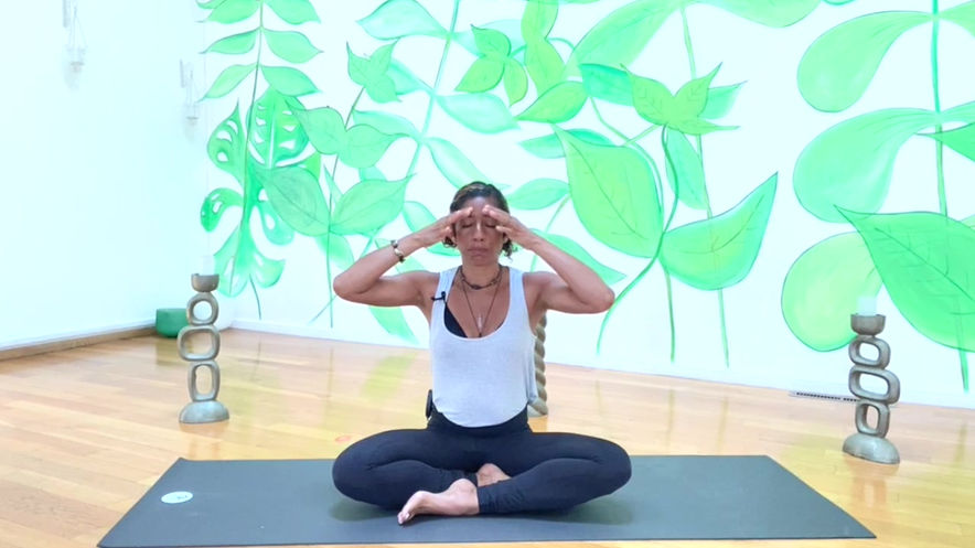 Bumble Bee Breathwork & Meditation with Aiyisha Castillo